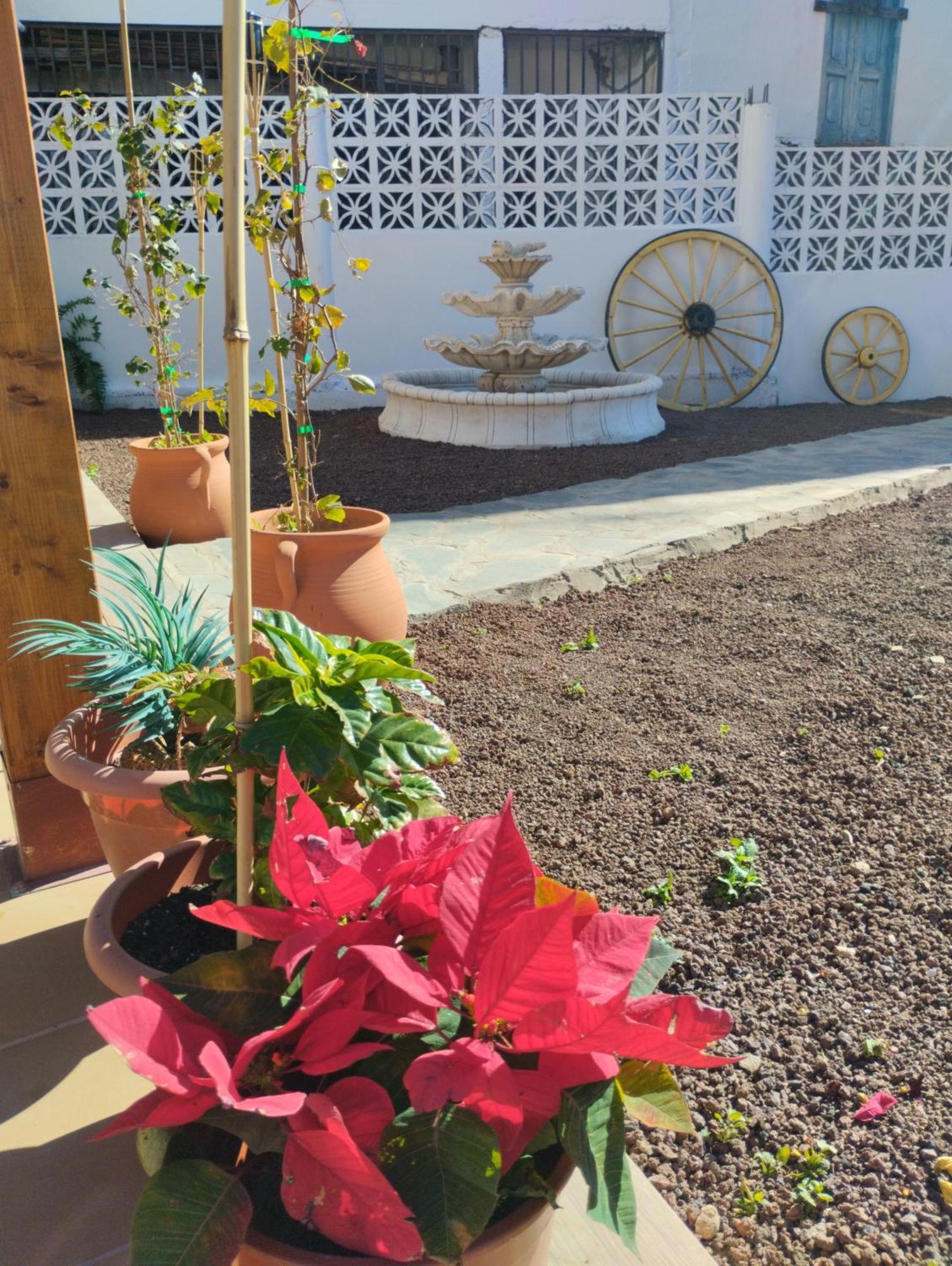 Casita Fataga Lägenhet Exteriör bild